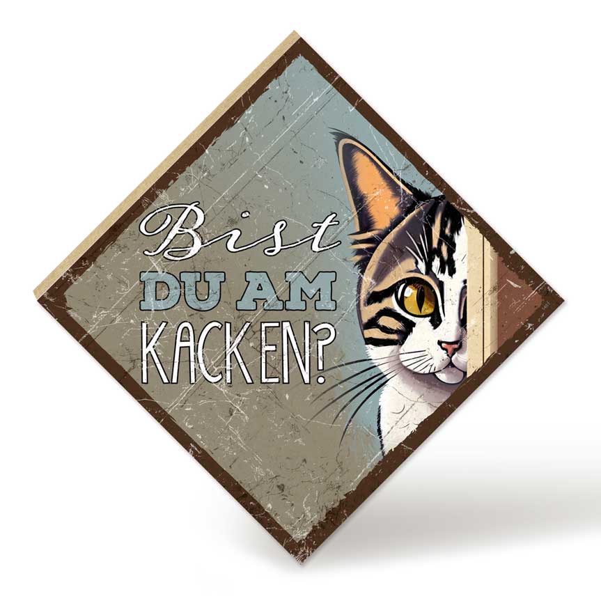 Holzschild mit Spruch - Bist du am Kacken? – HS-QN-01461