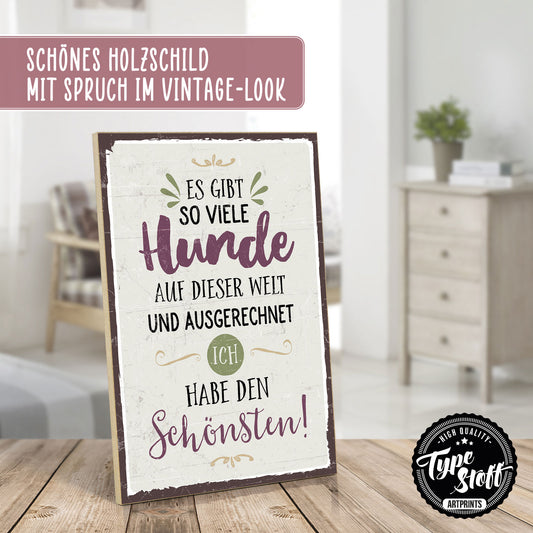 Holzschild mit Spruch - So viele Hunde auf der Welt - HS-GH-00555