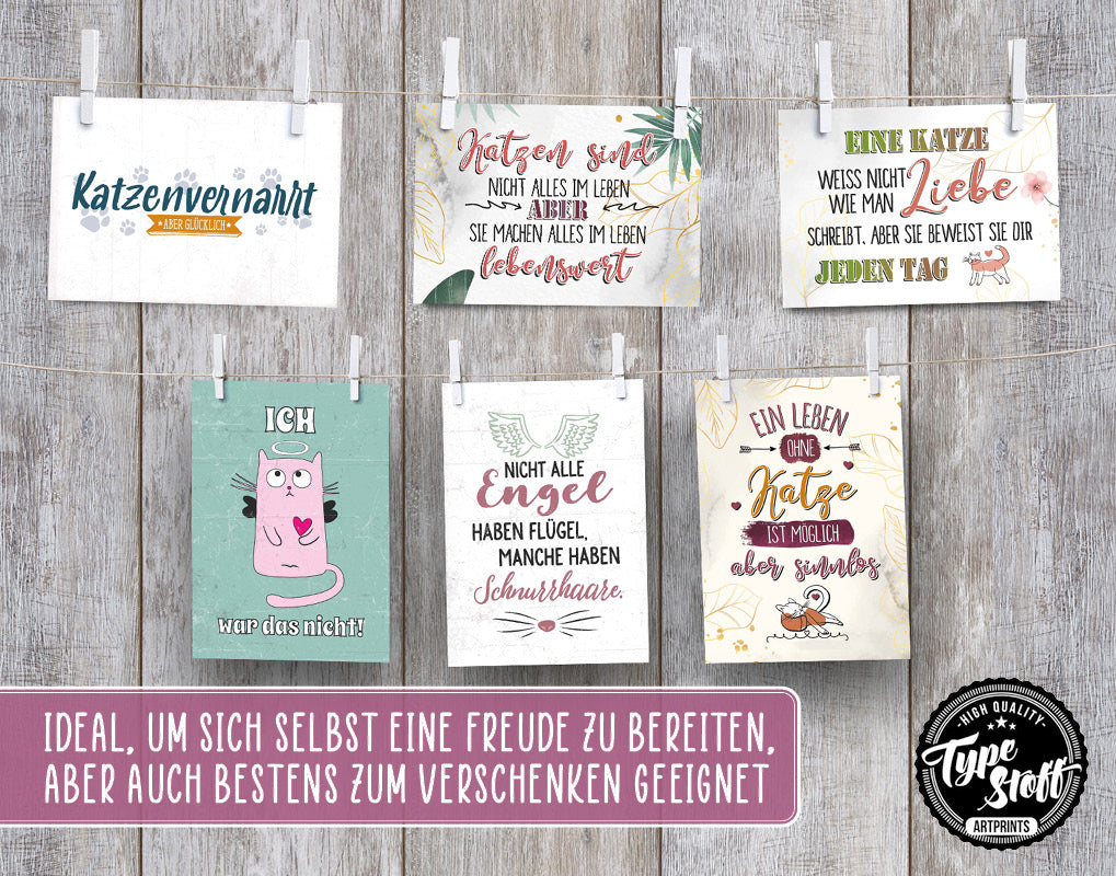 Postkarten - Katze - Set - PK-01465