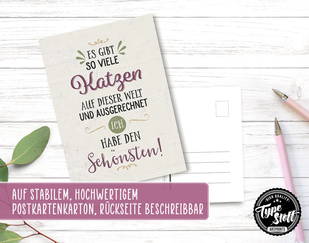Postkarten - Katze - Set - PK-01465
