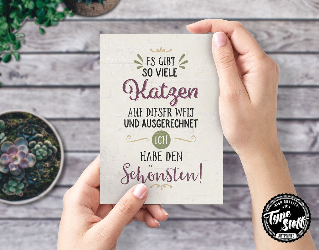 Postkarten - Katze - Set - PK-01465