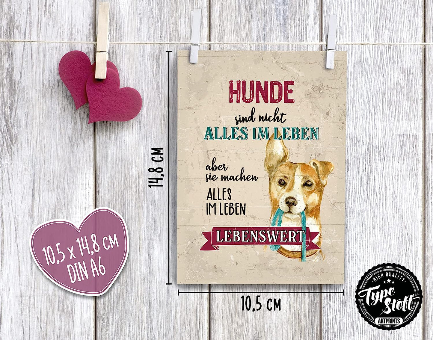 Postkarten - Hund - Set - PK-01348